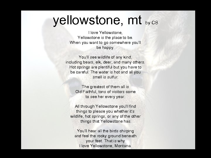 yellowstone, mt I love Yellowstone, Yellowstone is the place to be. When you want