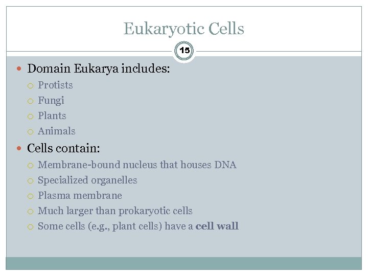 Eukaryotic Cells 15 Domain Eukarya includes: Protists Fungi Plants Animals Cells contain: Membrane-bound nucleus
