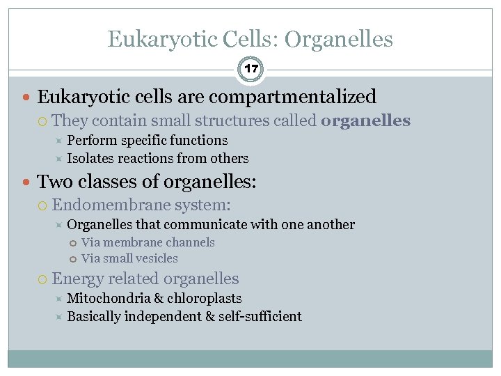 Eukaryotic Cells: Organelles 17 Eukaryotic cells are compartmentalized They contain small structures called organelles