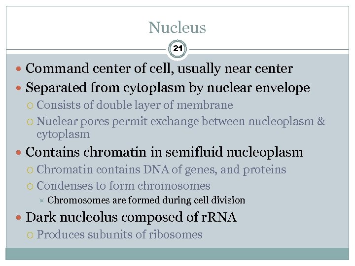 Nucleus 21 Command center of cell, usually near center Separated from cytoplasm by nuclear