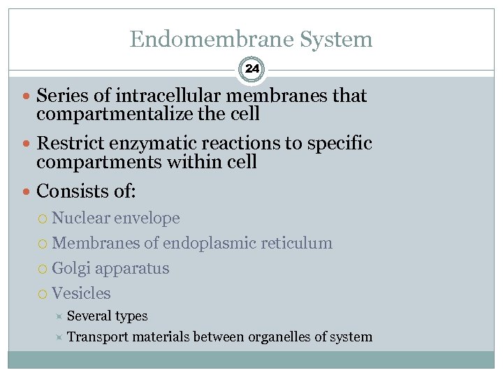 Endomembrane System 24 Series of intracellular membranes that compartmentalize the cell Restrict enzymatic reactions