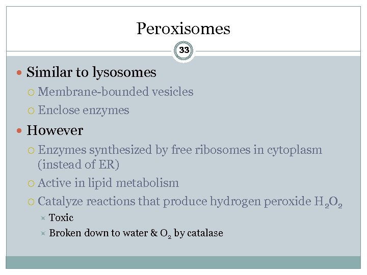 Peroxisomes 33 Similar to lysosomes Membrane-bounded vesicles Enclose enzymes However Enzymes synthesized by free