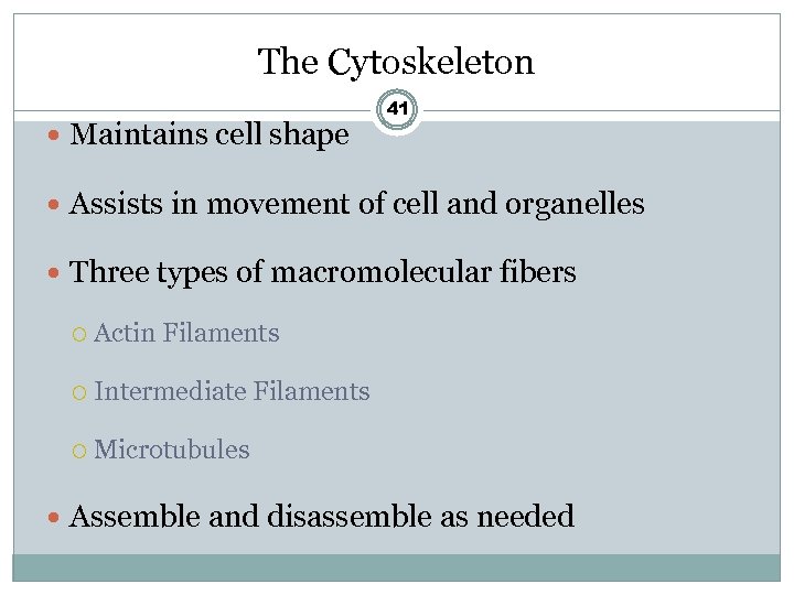 The Cytoskeleton Maintains cell shape 41 Assists in movement of cell and organelles Three