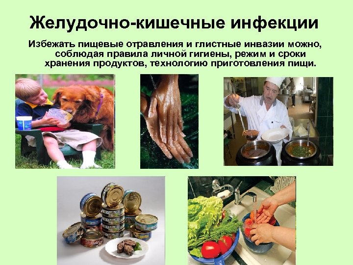Желудочно-кишечные инфекции Избежать пищевые отравления и глистные инвазии можно, соблюдая правила личной гигиены, режим