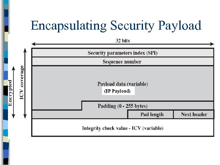 Encapsulating Security Payload (IP Payload) 