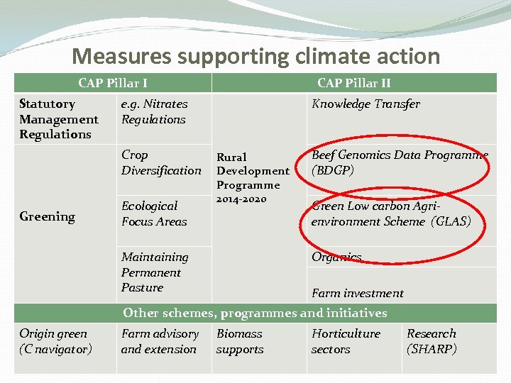 Measures supporting climate action CAP Pillar I Statutory Management Regulations e. g. Nitrates Regulations