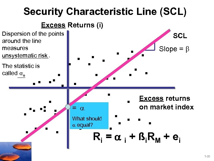 Security Characteristic Line (SCL) Excess Returns (i) Dispersion of the points around the line