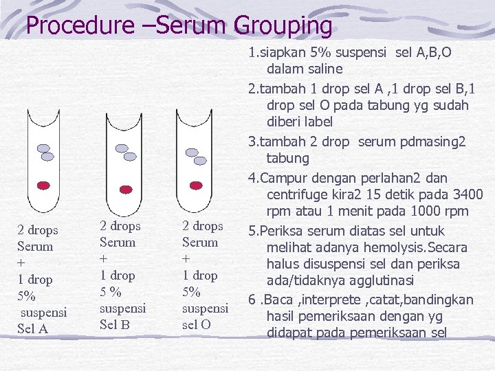 Procedure –Serum Grouping 2 drops Serum + 1 drop 5% suspensi Sel A 2