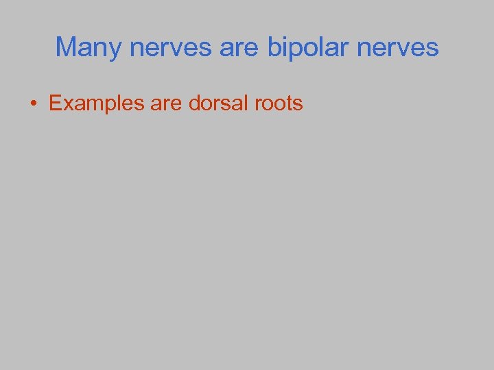 Many nerves are bipolar nerves • Examples are dorsal roots 