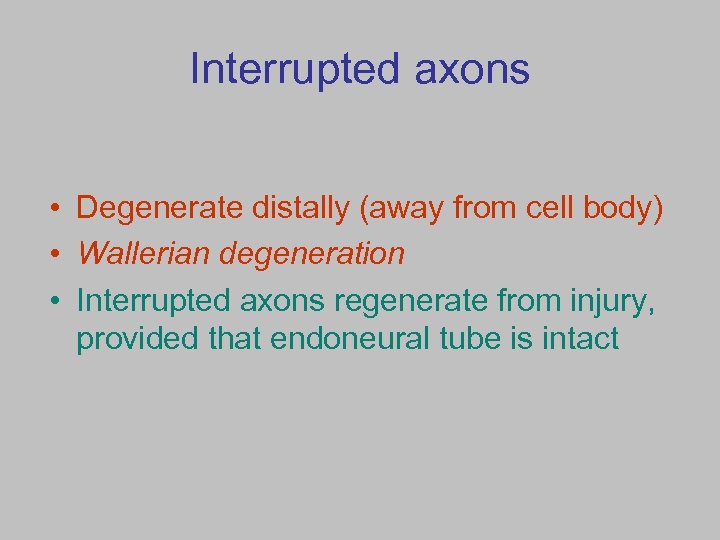 Interrupted axons • Degenerate distally (away from cell body) • Wallerian degeneration • Interrupted