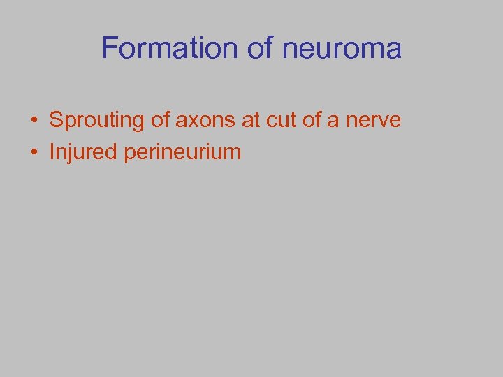 Formation of neuroma • Sprouting of axons at cut of a nerve • Injured