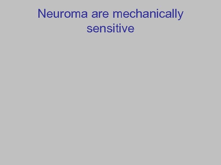 Neuroma are mechanically sensitive 