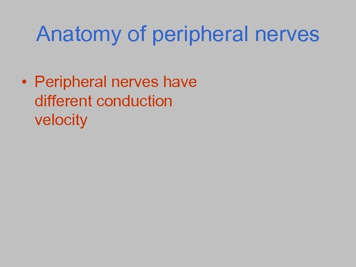 Anatomy of peripheral nerves • Peripheral nerves have different conduction velocity 
