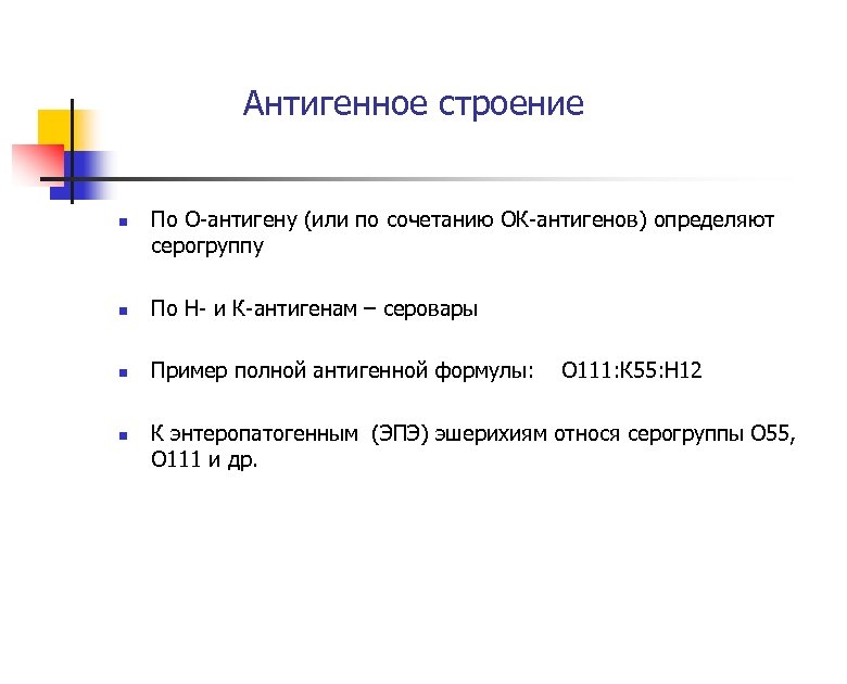 Антигенное строение n По О-антигену (или по сочетанию ОК-антигенов) определяют серогруппу n По Н-