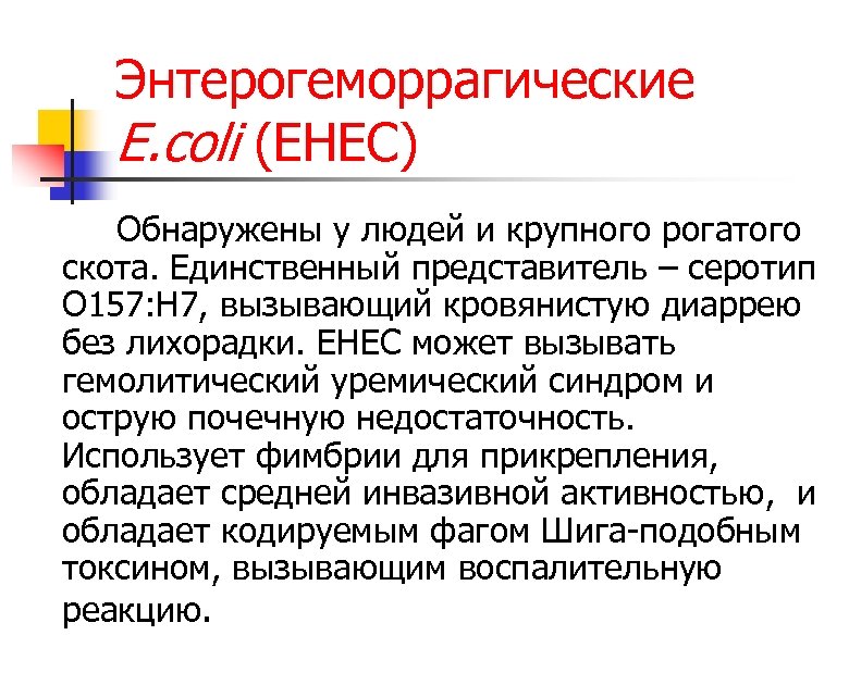 Энтерогеморрагические E. coli (EHEC) Обнаружены у людей и крупного рогатого скота. Единственный представитель –