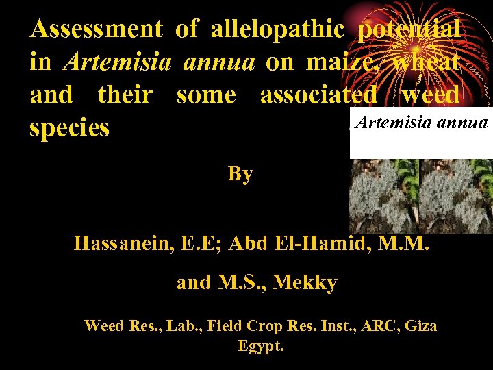 Assessment of allelopathic potential in Artemisia annua on maize, wheat and their some associated