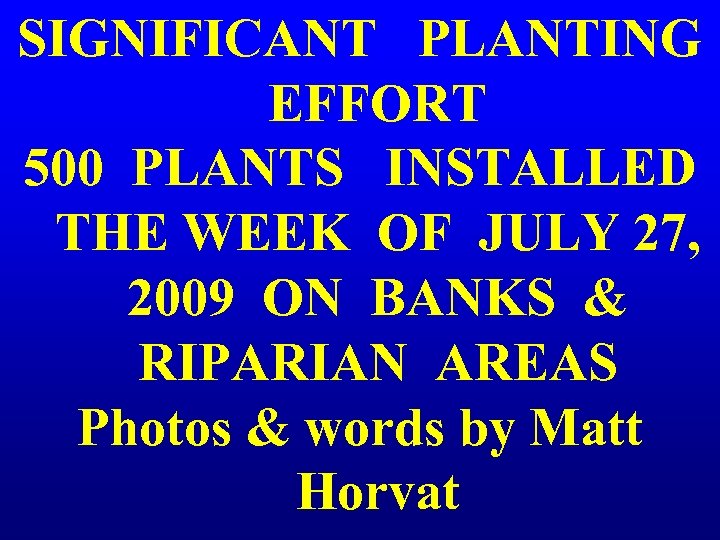 SIGNIFICANT PLANTING EFFORT 500 PLANTS INSTALLED THE WEEK OF JULY 27, 2009 ON BANKS