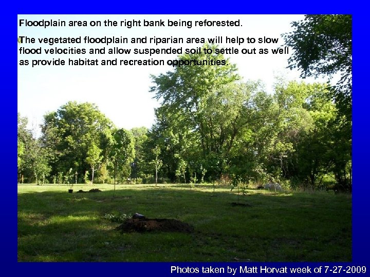 Floodplain area on the right bank being reforested. The vegetated floodplain and riparian area