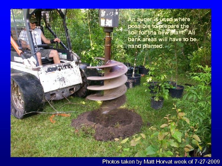 An auger is used where possible to prepare the soil for the new plant.