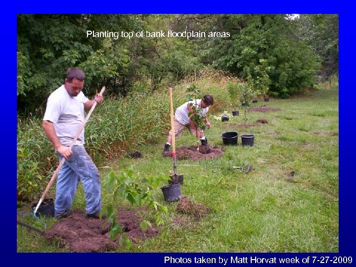 Planting top of bank floodplain areas Photos taken by Matt Horvat week of 7