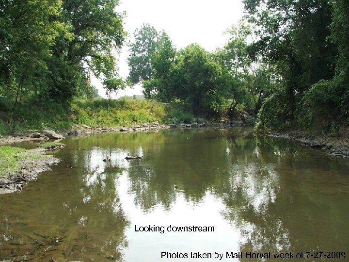 Looking downstream Photos taken by Matt Horvat week of 7 -27 -2009 