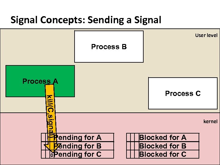 Carnegie Mellon Signal Concepts: Sending a Signal User level Process B Process A kill(C,