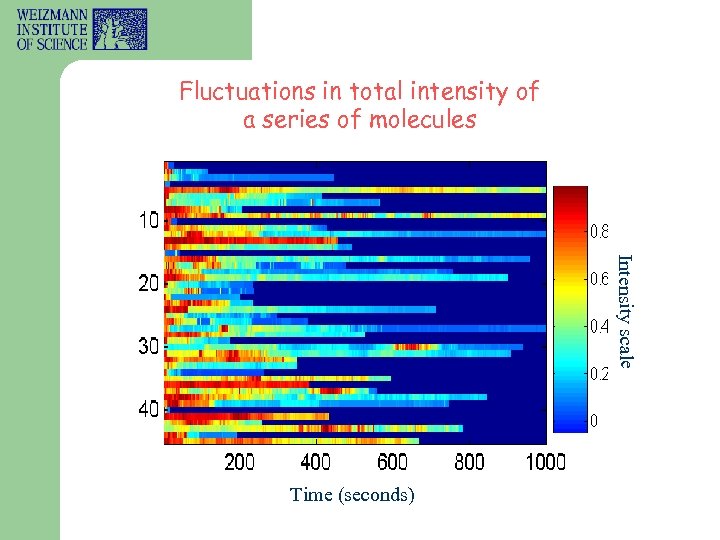 Fluctuations in total intensity of a series of molecules Intensity scale Time (seconds) 