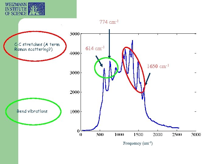 774 cm-1 C-C stretches (A term Raman scattering? ) 614 cm-1 1650 cm-1 Bend