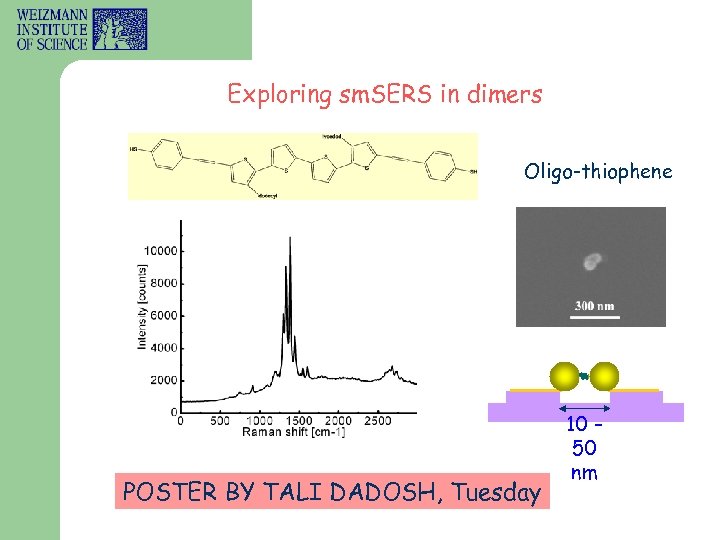 Exploring sm. SERS in dimers Oligo-thiophene POSTER BY TALI DADOSH, Tuesday 10 – 50