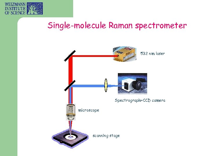 Single-molecule Raman spectrometer 532 nm laser Spectrograph+CCD camera microscope scanning stage 