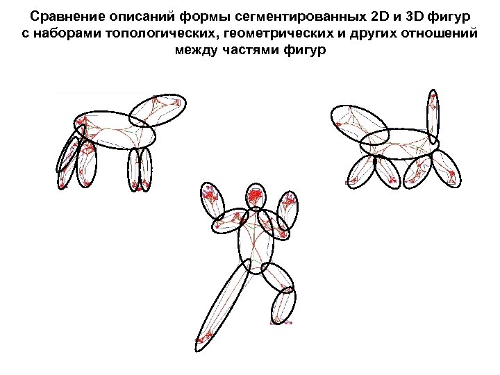 Сравнение описаний формы сегментированных 2 D и 3 D фигур с наборами топологических, геометрических