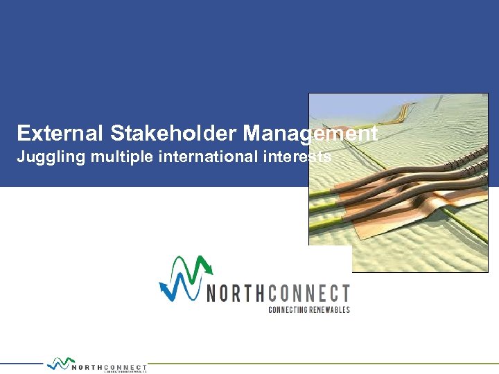 External Stakeholder Management Juggling multiple international interests 