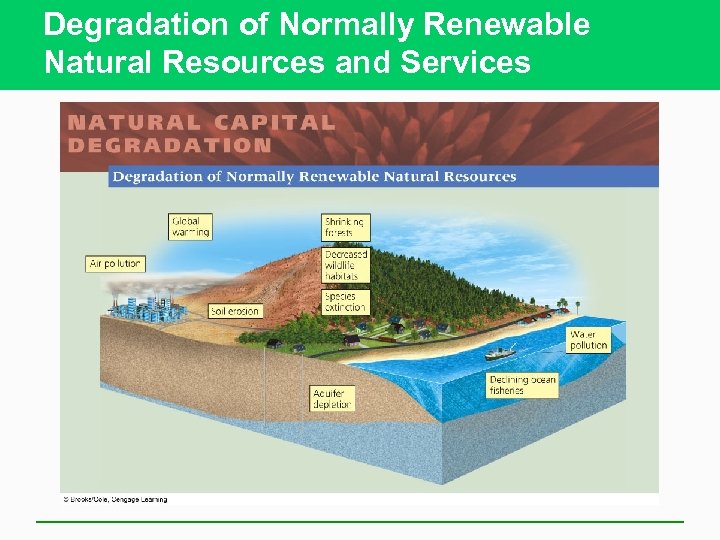 Degradation of Normally Renewable Natural Resources and Services 