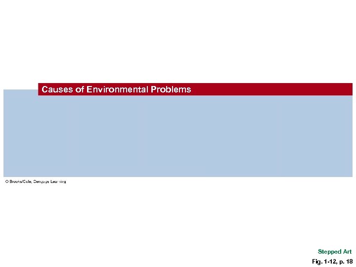 Causes of Environmental Problems Population growth Unsustainable resource use Poverty Excluding environmental costs from