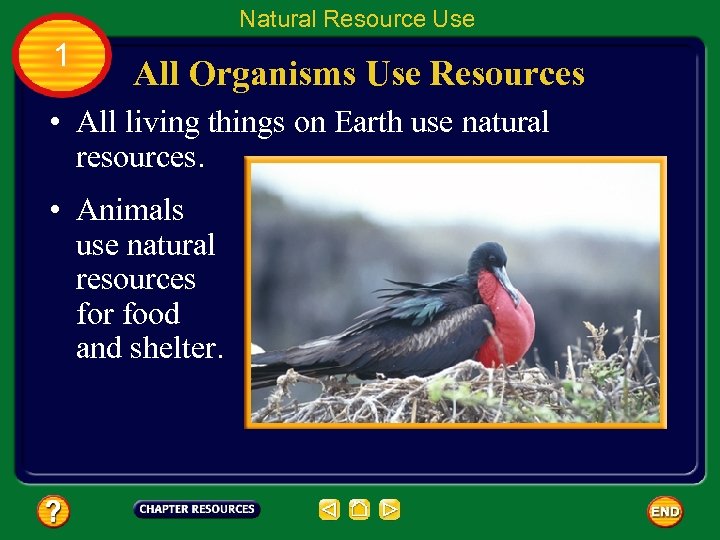 Natural Resource Use 1 All Organisms Use Resources • All living things on Earth