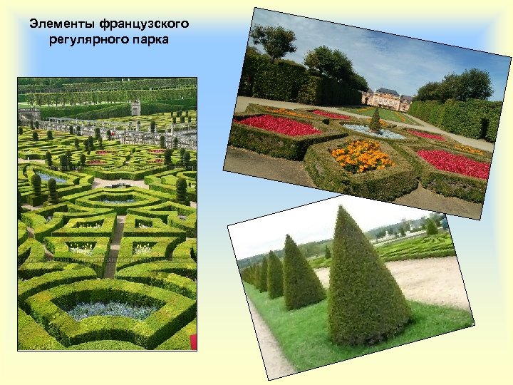 Элементы французского регулярного парка 