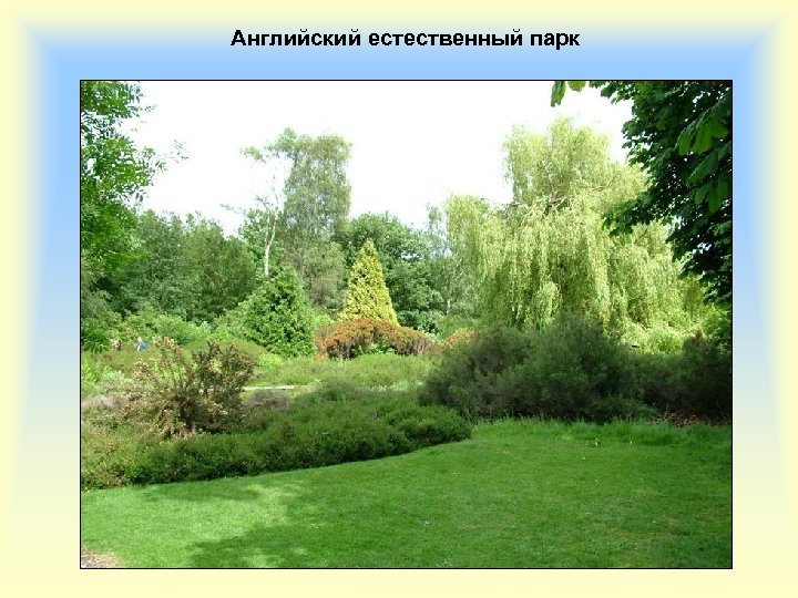 Английский естественный парк 
