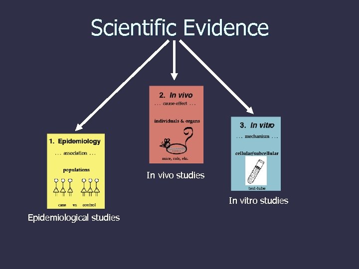 Scientific Evidence In vivo studies In vitro studies Epidemiological studies 
