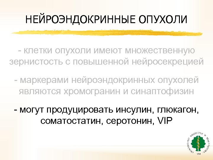 НЕЙРОЭНДОКРИННЫЕ ОПУХОЛИ - клетки опухоли имеют множественную зернистость с повышенной нейросекрецией - маркерами нейроэндокринных