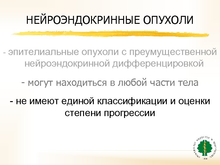 НЕЙРОЭНДОКРИННЫЕ ОПУХОЛИ - эпителиальные опухоли с преумущественной нейроэндокринной дифференцировкой - могут находиться в любой