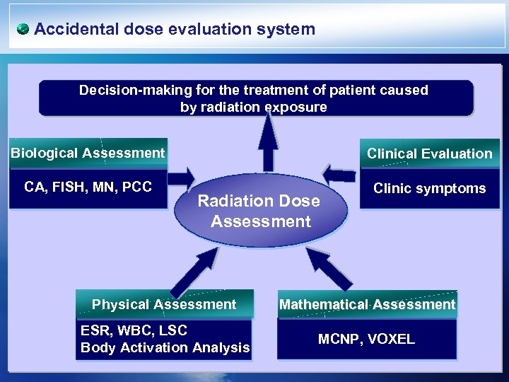 Accidental dose evaluation system Decision-making for the treatment of patient caused by radiation exposure