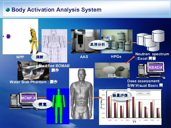 Body Activation Analysis System 血液分析 NPP 照射 AAS HPGe Modified BOMAB : 製作 Neutron