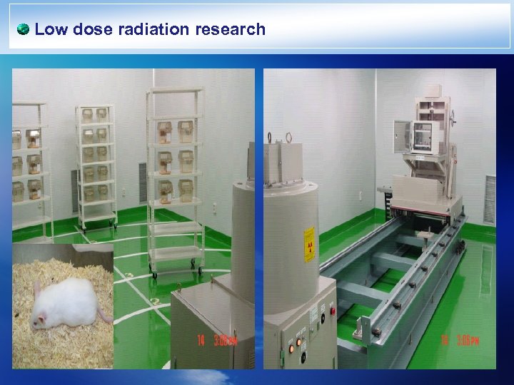 Low dose radiation research 