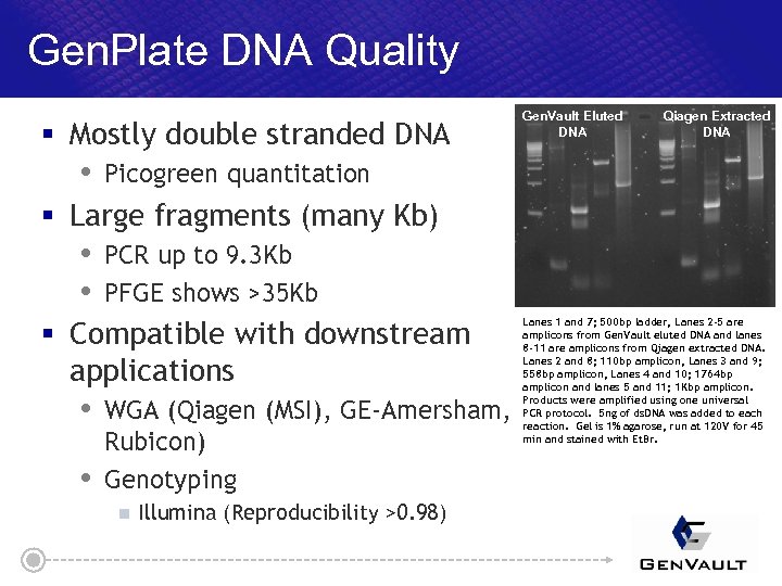Gen. Plate DNA Quality § Mostly double stranded DNA Picogreen quantitation § Large fragments