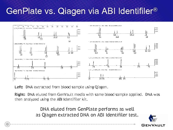 Gen. Plate vs. Qiagen via ABI Identifiler® Left: DNA extracted from blood sample using