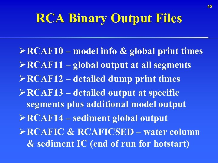 45 RCA Binary Output Files Ø RCAF 10 – model info & global print