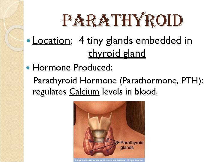 Parat. HYroid Location: Hormone 4 tiny glands embedded in thyroid gland Produced: Parathyroid Hormone