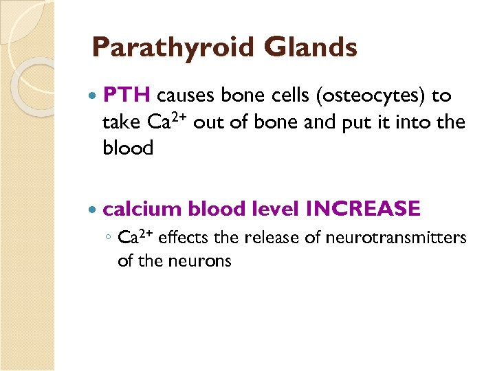 Parathyroid Glands PTH causes bone cells (osteocytes) to take Ca 2+ out of bone