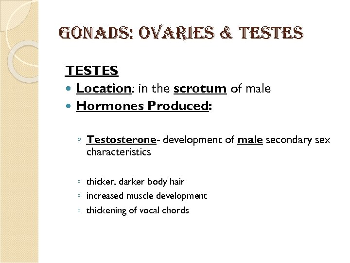 Gonads: o. Varies & testes TESTES Location: in the scrotum of male Hormones Produced: