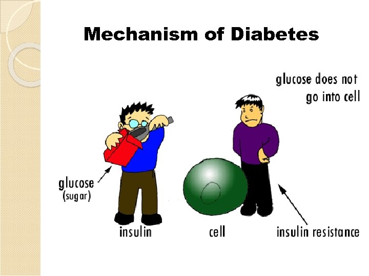 Mechanism of Diabetes 